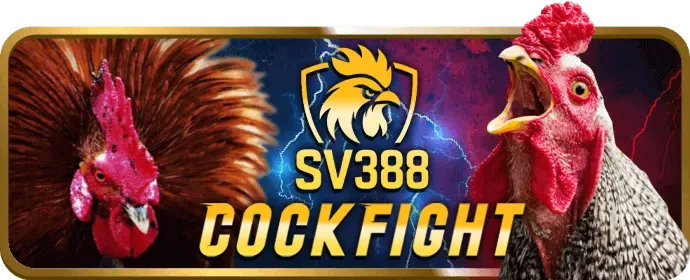 Cách tham gia VIP 123b
